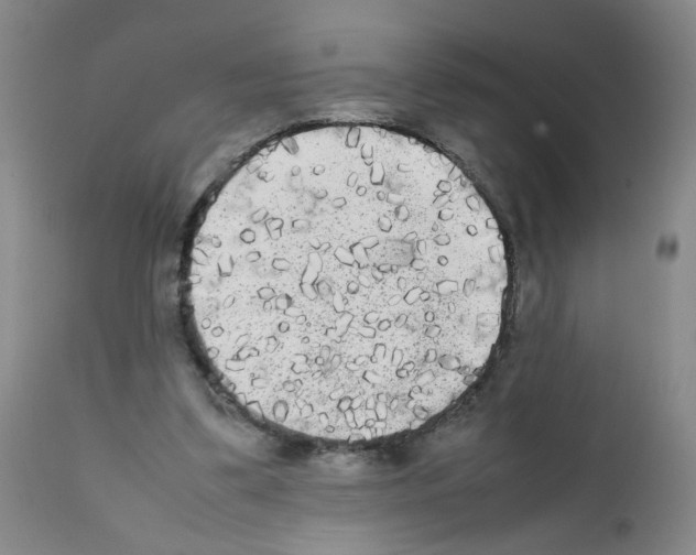X0000112070299200909151055