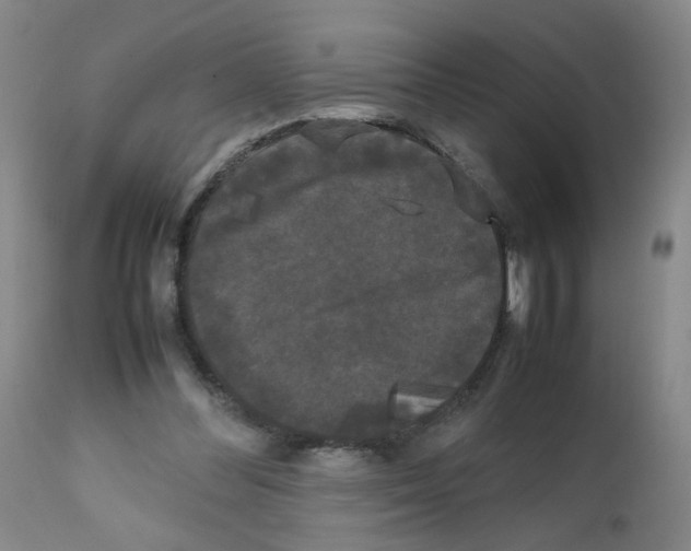 X0000112070300200909151055