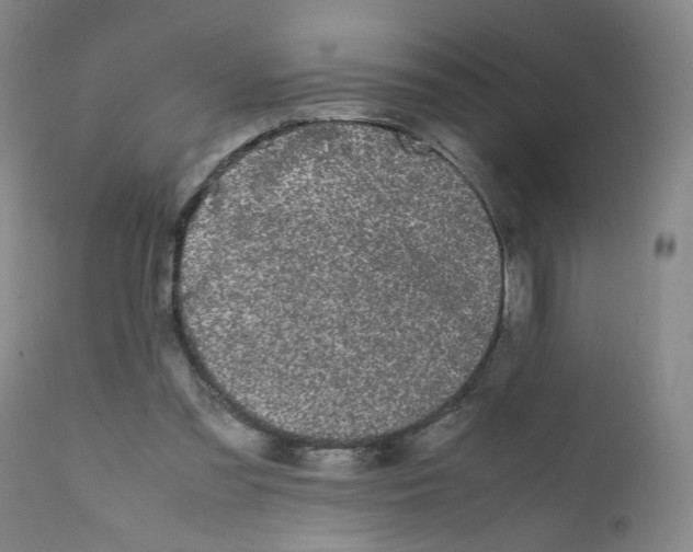 X0000112070301200909151055