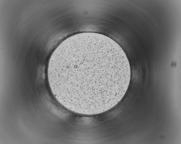 X0000112070302200909151055
