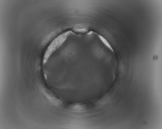 X0000112070303200909151055