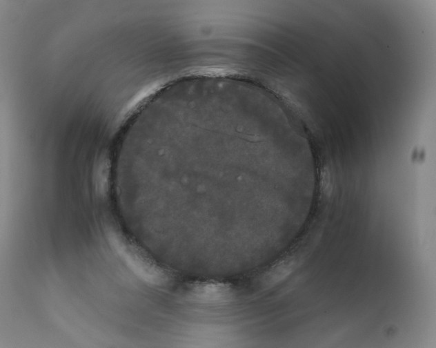 X0000112070304200909151055