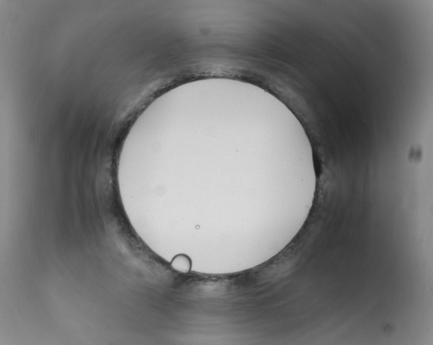 X0000112070306200909151055
