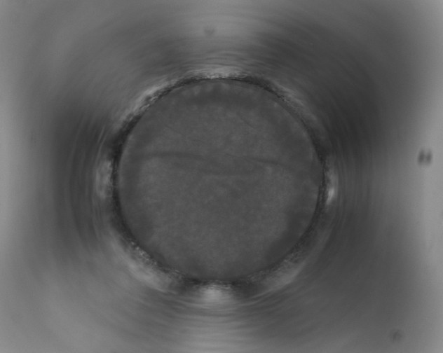 X0000112070308200909151054