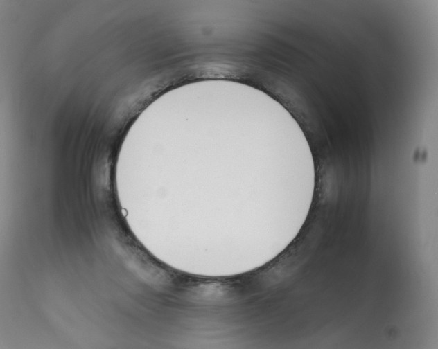 X0000112070310200909151054