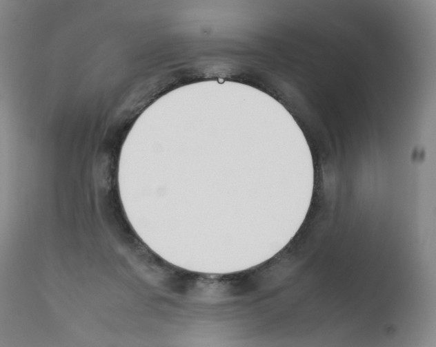 X0000112070311200909151054