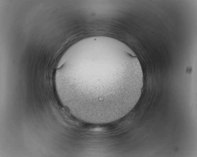 X0000112070312200909151054