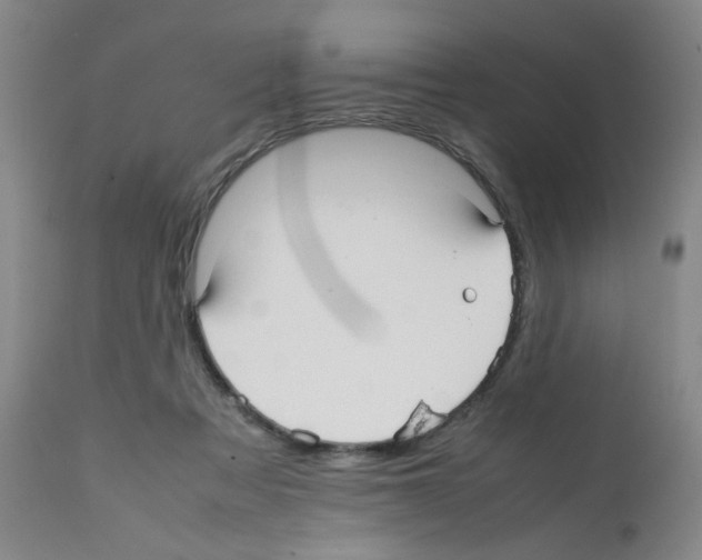 X0000112070313200909151054
