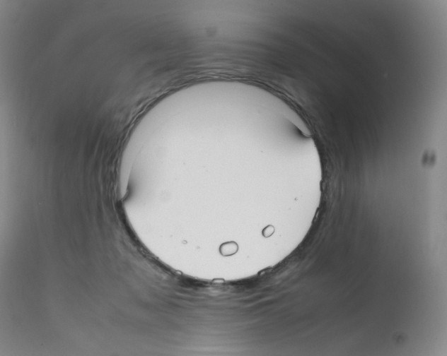 X0000112070317200909151054