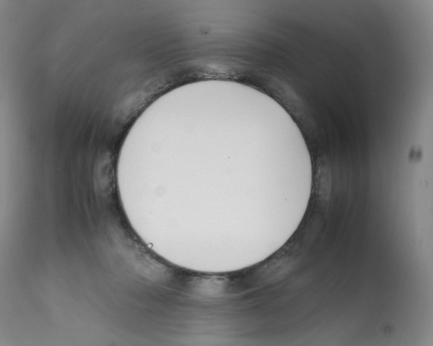 X0000112070318200909151054