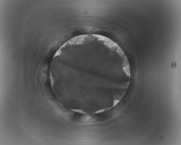 X0000112070319200909151054