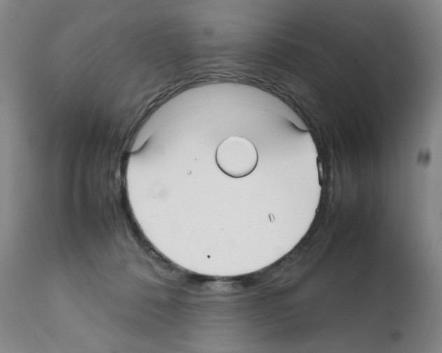 X0000112070320200909151054