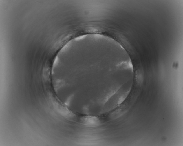 X0000112070322200909151054