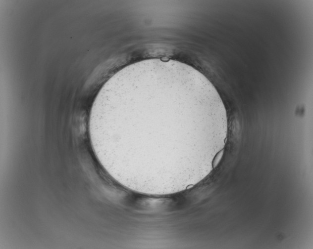 X0000112070323200909151054
