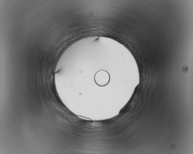 X0000112070324200909151054