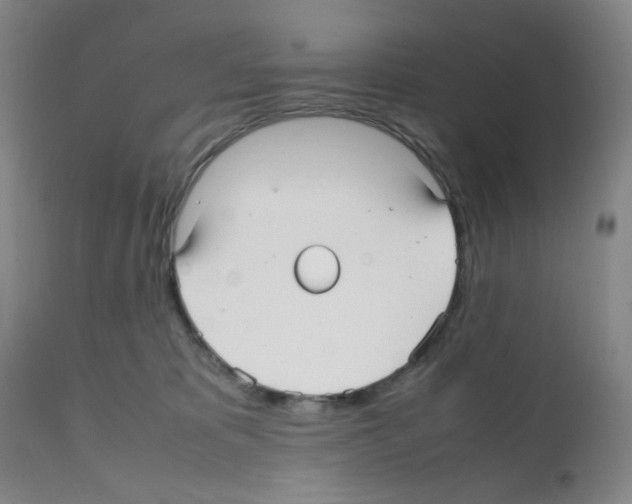 X0000112070325200909151054