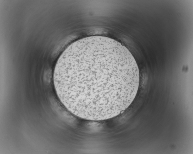 X0000112070326200909151054
