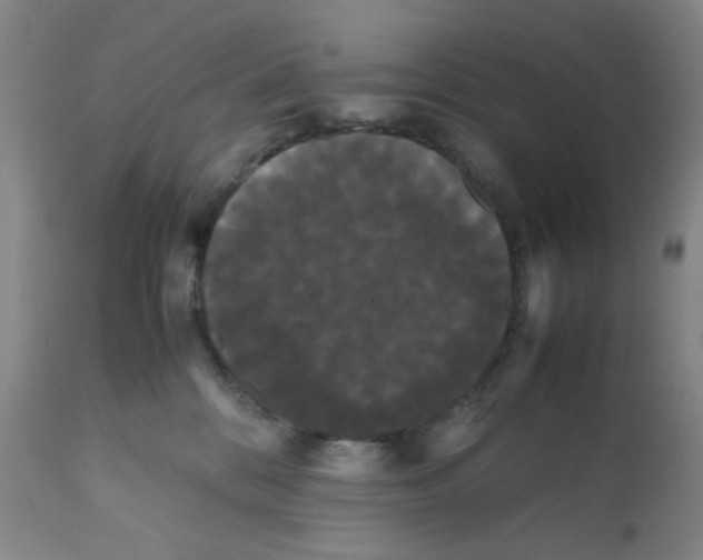 X0000112070328200909151054