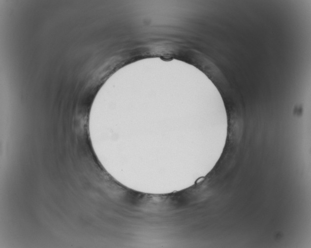 X0000112070329200909151054