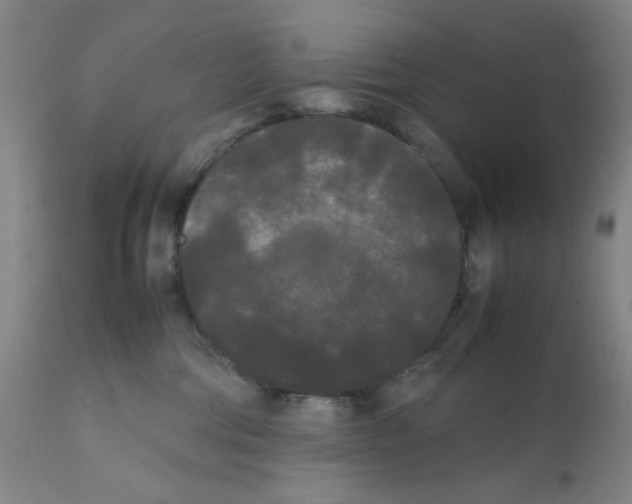 X0000112070330200909151054