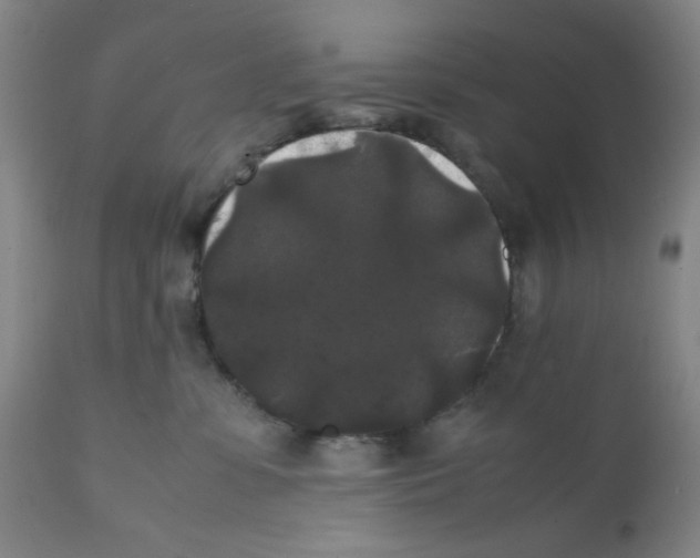 X0000112070331200909151054