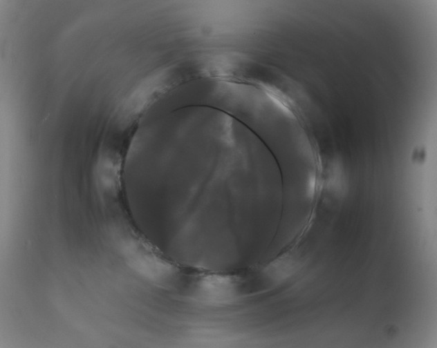 X0000112070332200909151054