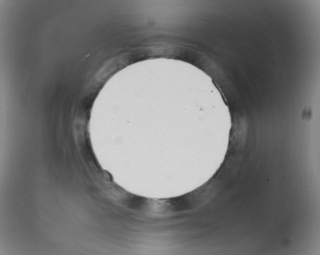 X0000112070333200909151054
