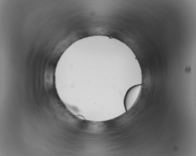 X0000112070334200909151054