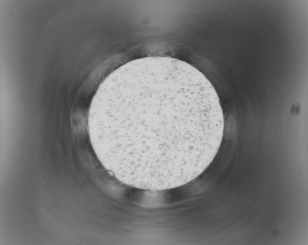 X0000112070335200909151054