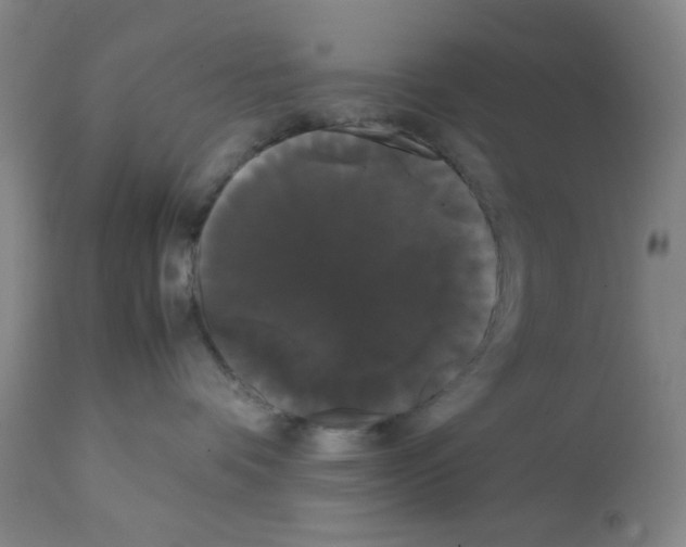 X0000112070336200909151054