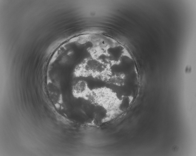 X0000112070337200909151053