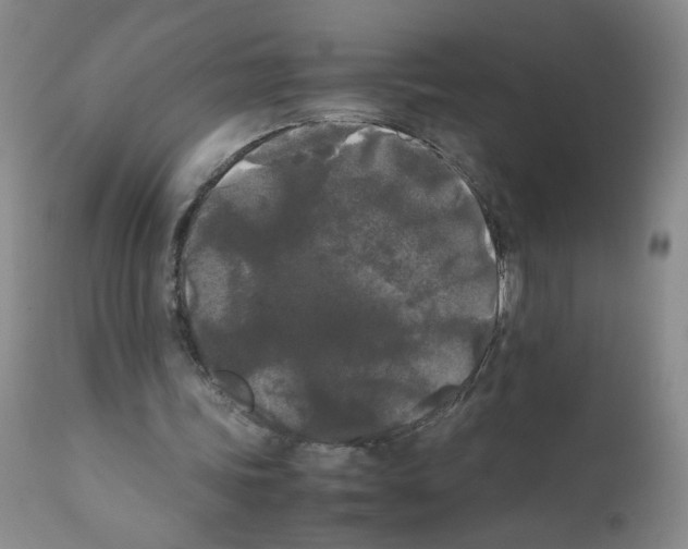 X0000112070339200909151053