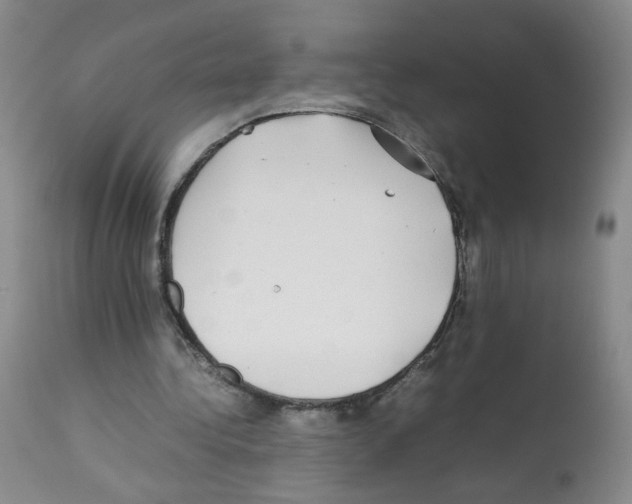 X0000112070340200909151053
