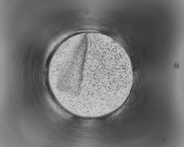 X0000112070342200909151053