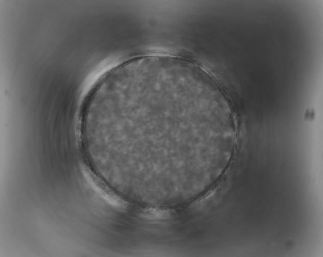 X0000112070343200909151053