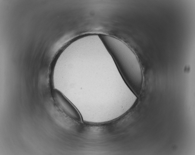 X0000112070344200909151053