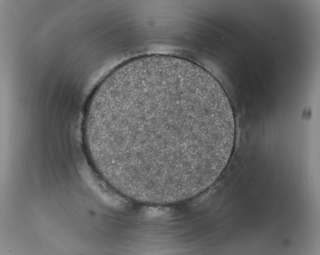 X0000112070346200909151053