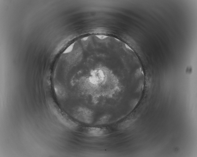 X0000112070347200909151053