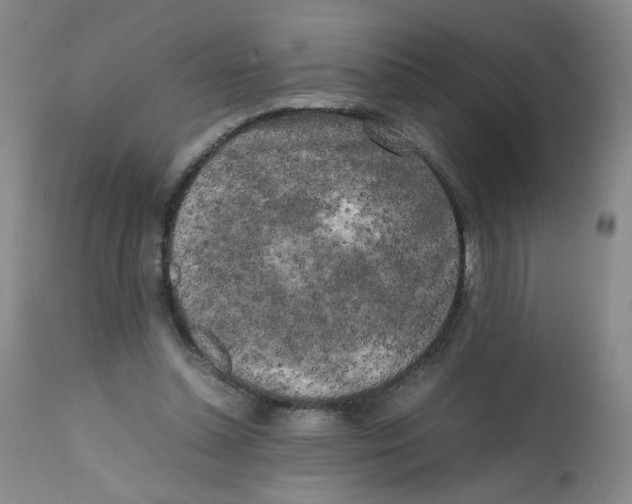 X0000112070348200909151053