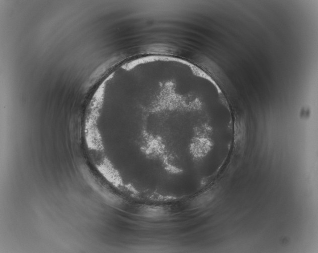 X0000112070349200909151053