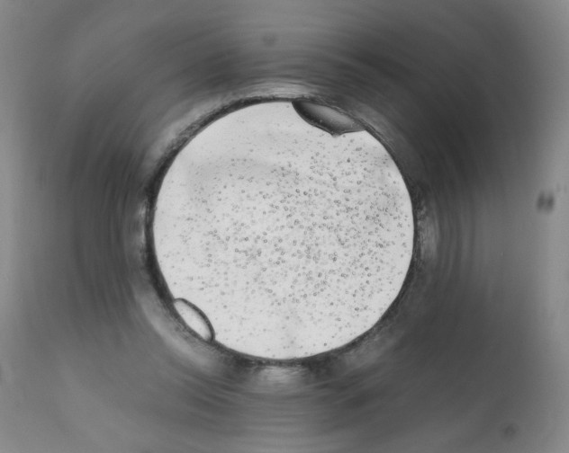 X0000112070350200909151053