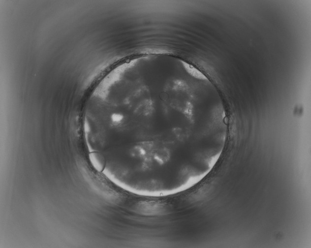 X0000112070351200909151053