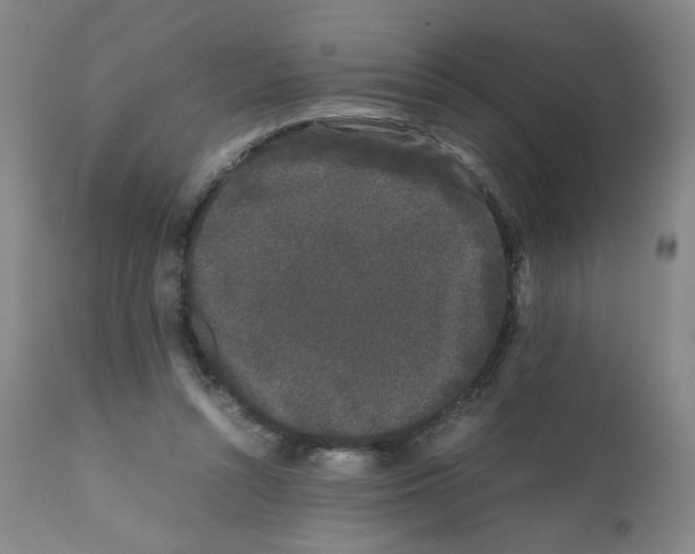 X0000112070352200909151053