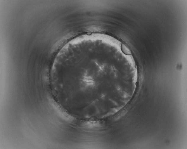 X0000112070353200909151053