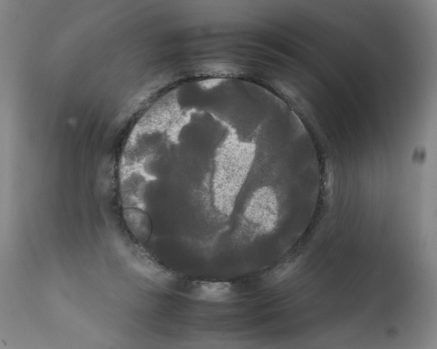 X0000112070355200909151054