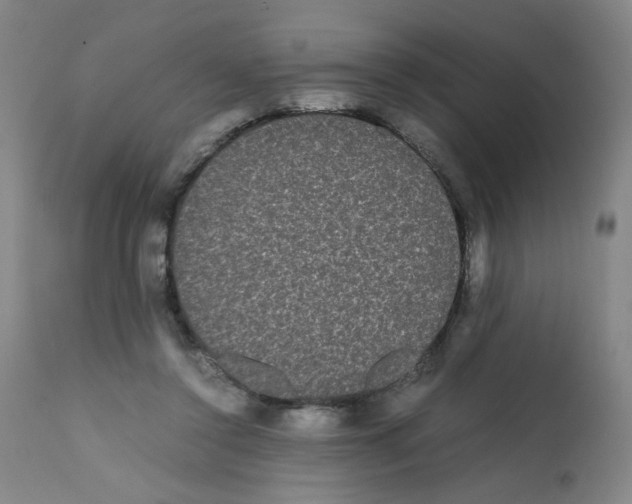 X0000112070356200909151054