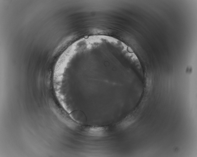 X0000112070357200909151054