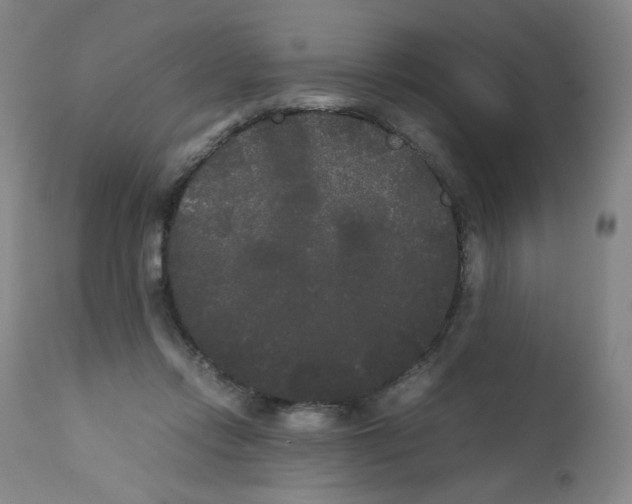 X0000112070358200909151054