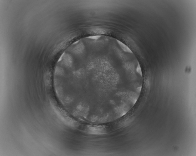 X0000112070359200909151054
