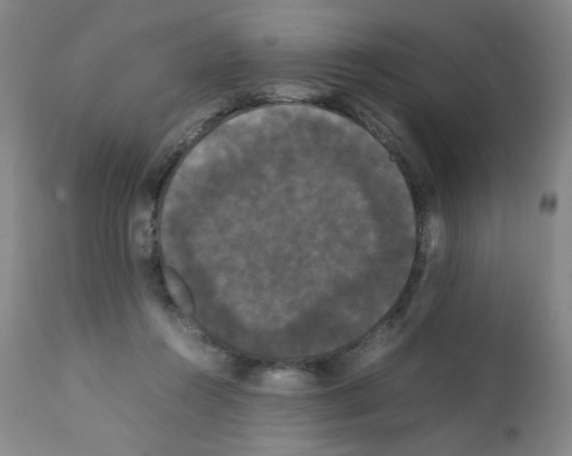 X0000112070360200909151054